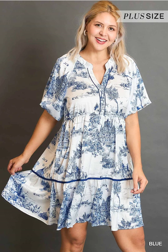 Umgee Blue Two Tone Landscape Print Dress with Balloon Sleeves