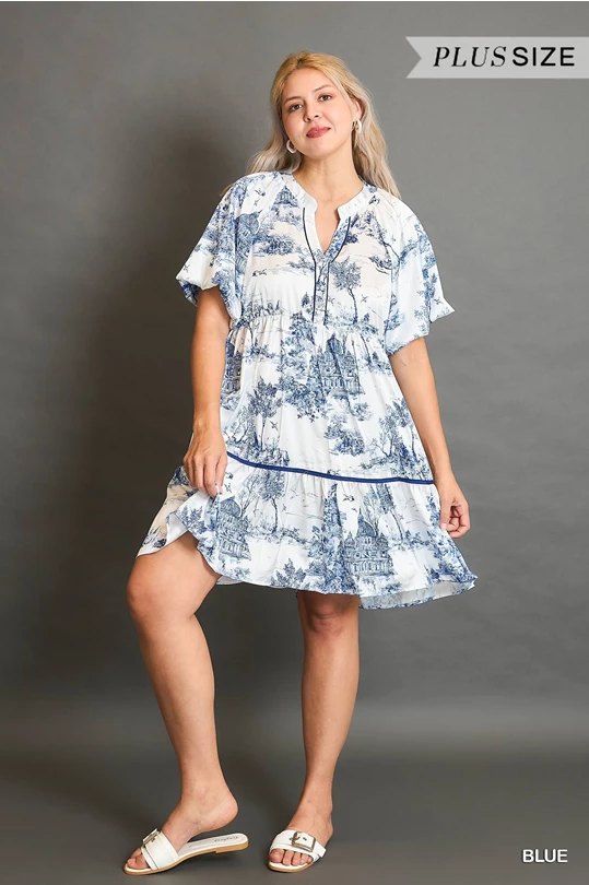 Umgee Blue Two Tone Landscape Print Dress with Balloon Sleeves