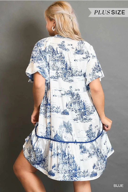 Umgee Blue Two Tone Landscape Print Dress with Balloon Sleeves