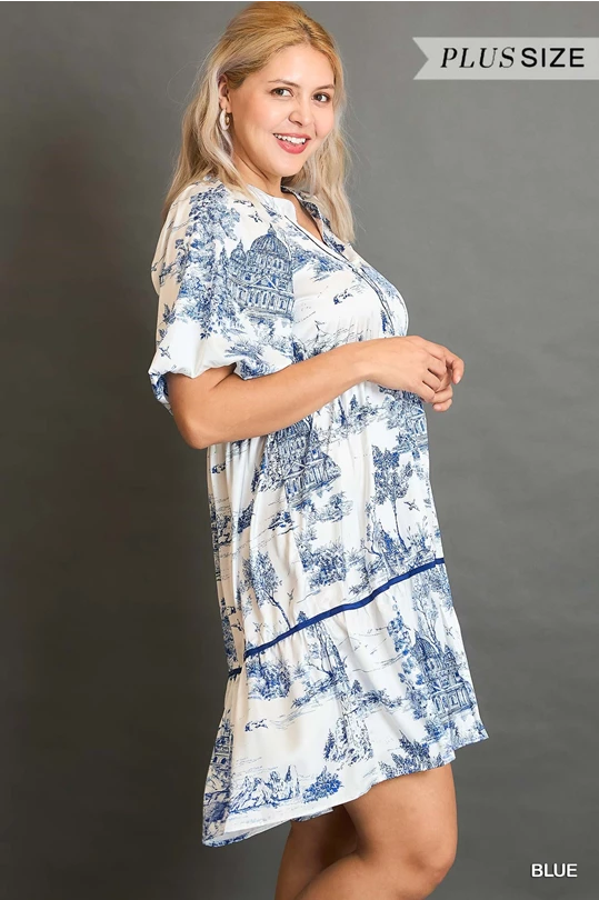 Umgee Blue Two Tone Landscape Print Dress with Balloon Sleeves