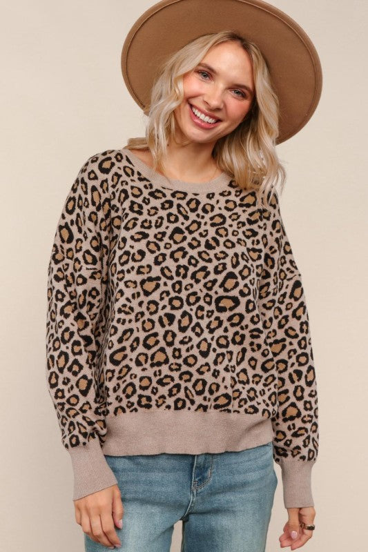 Haptics Leopard Jacquard Pullover Sweater Knit Top
