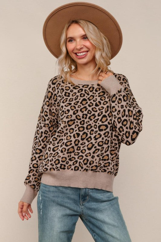 Haptics Leopard Jacquard Pullover Sweater Knit Top