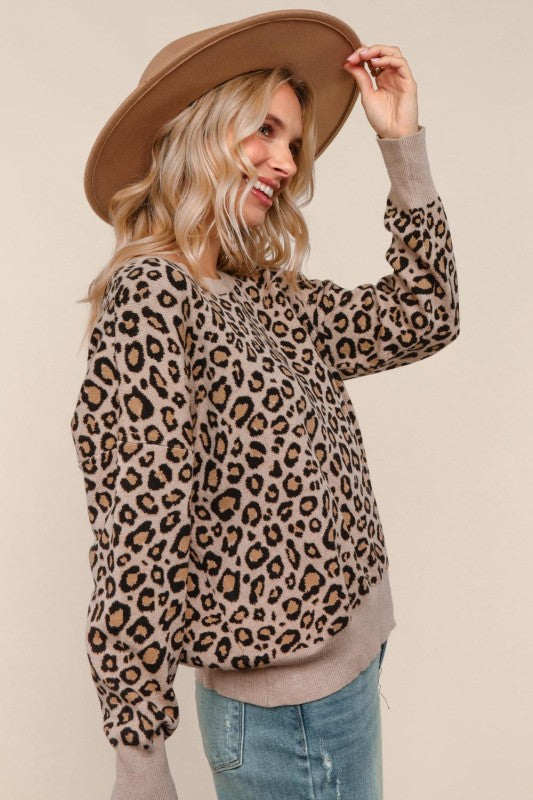 Haptics Leopard Jacquard Pullover Sweater Knit Top
