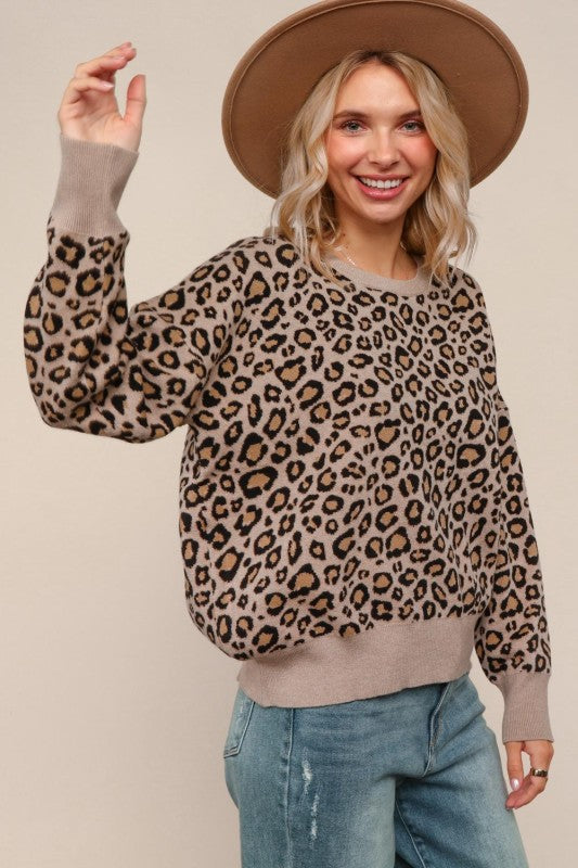 Haptics Leopard Jacquard Pullover Sweater Knit Top