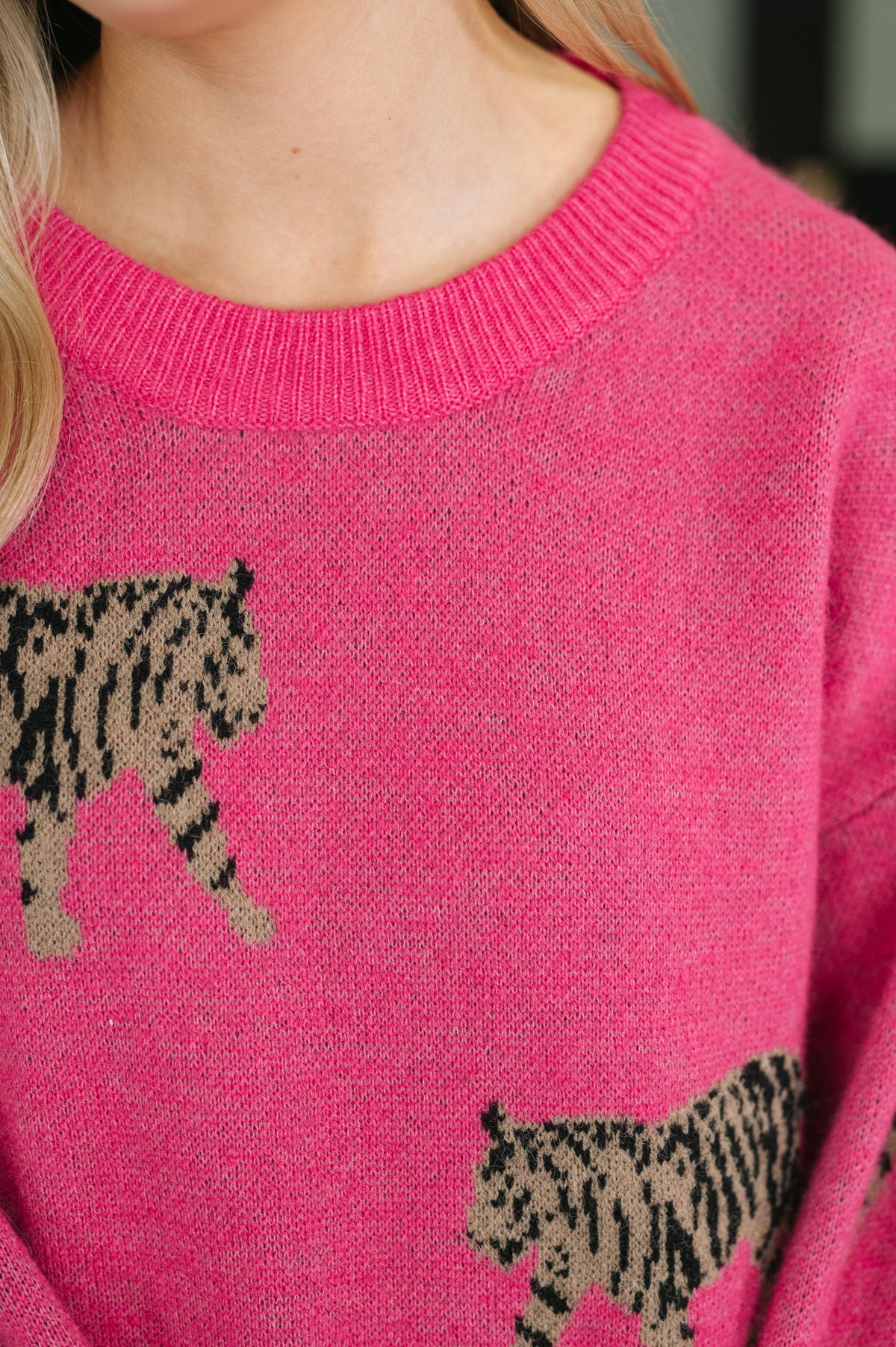 Pretty and Prowling Graphic Pullover in Pink Womens