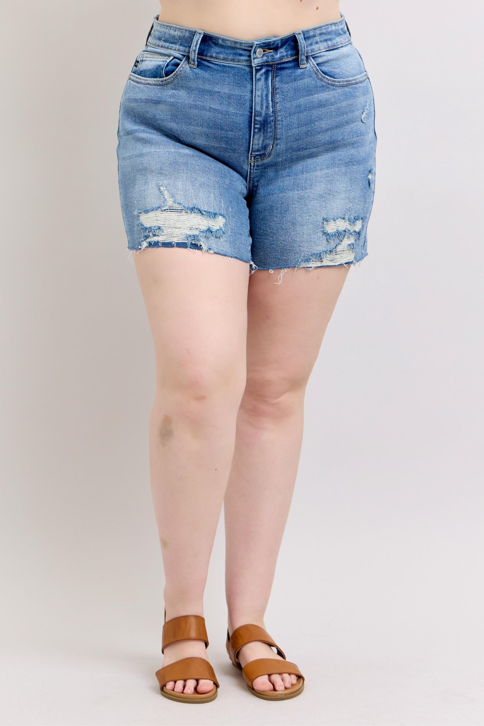 Charley High Rise Distressed Cutoff Shorts Womens