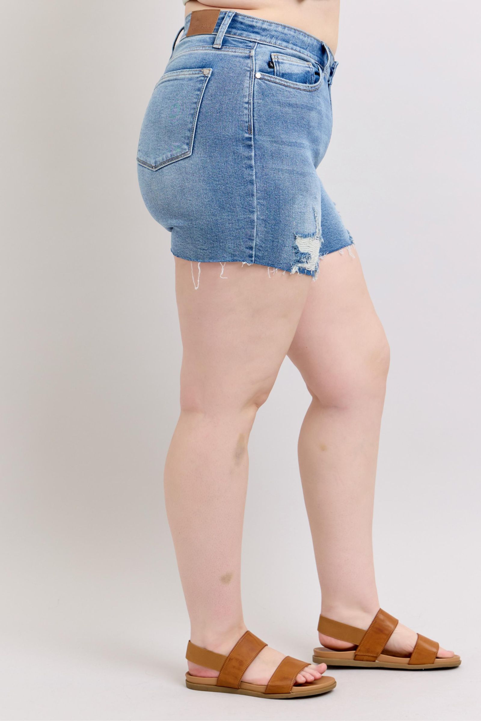 Charley High Rise Distressed Cutoff Shorts Womens