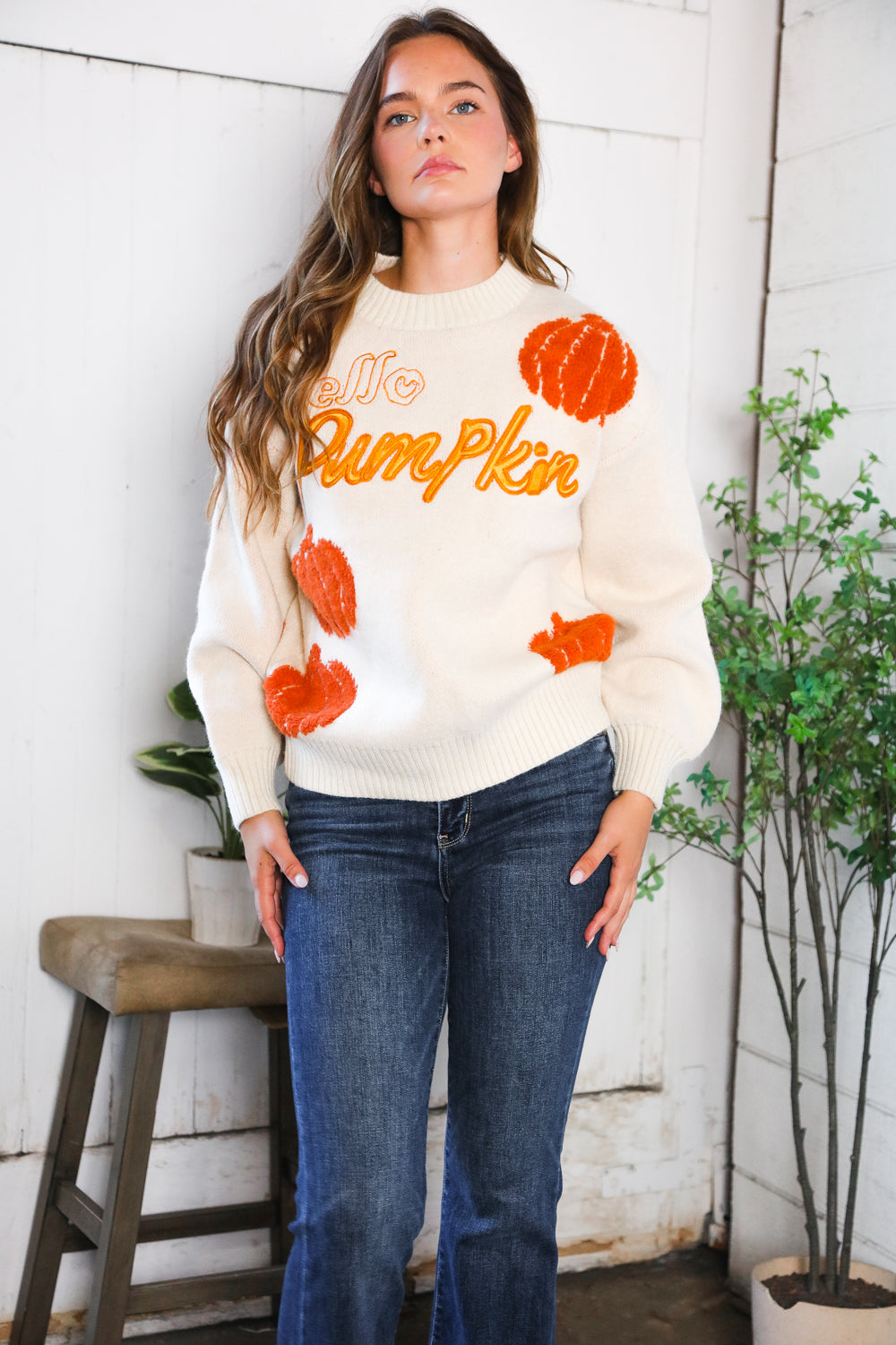 And The Why Hello Pumpkin Patch Pullover