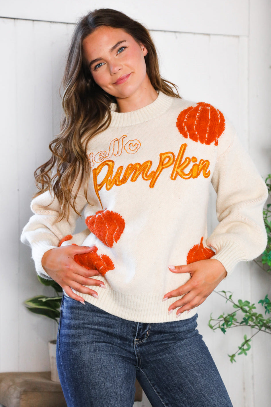 And The Why Hello Pumpkin Patch Pullover