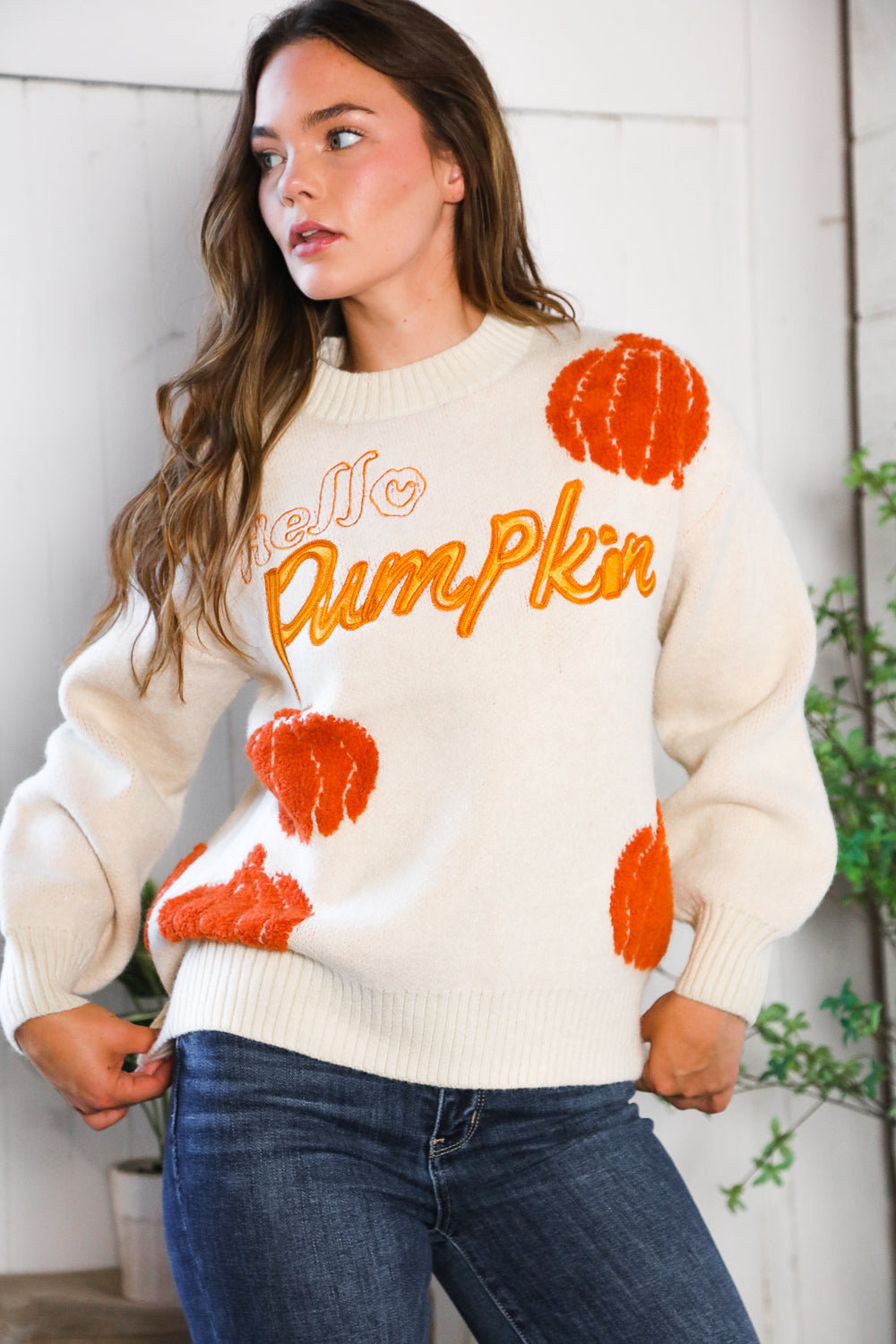 And The Why Hello Pumpkin Patch Pullover