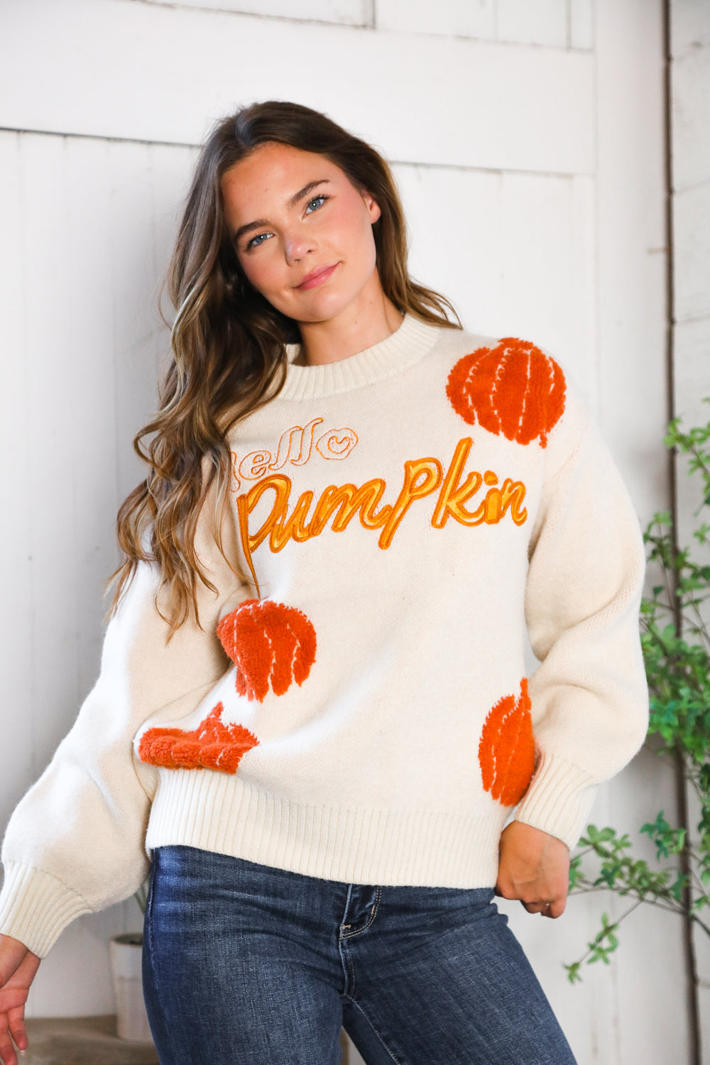 And The Why Hello Pumpkin Patch Pullover