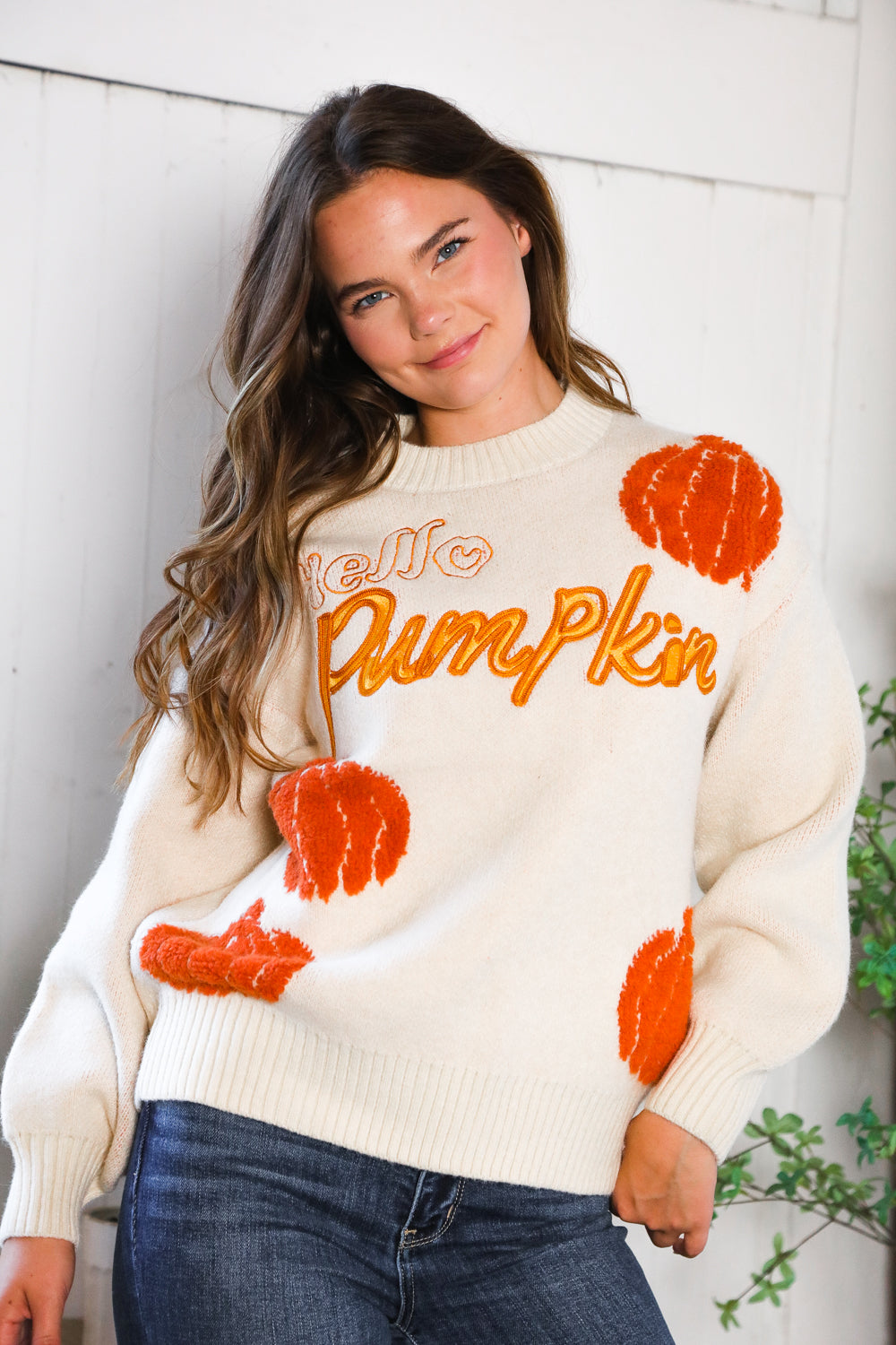 And The Why Hello Pumpkin Patch Pullover