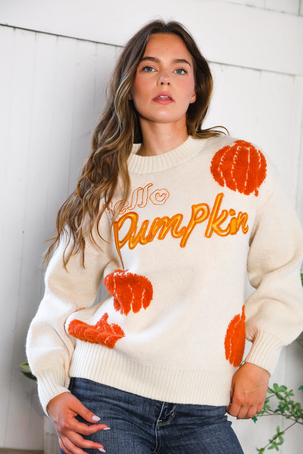 And The Why Hello Pumpkin Patch Pullover