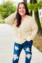 Haptics Follow Me Oatmeal Pointelle Knit Button Down Cardigan Final Sale 2024 Blow-Out Sale