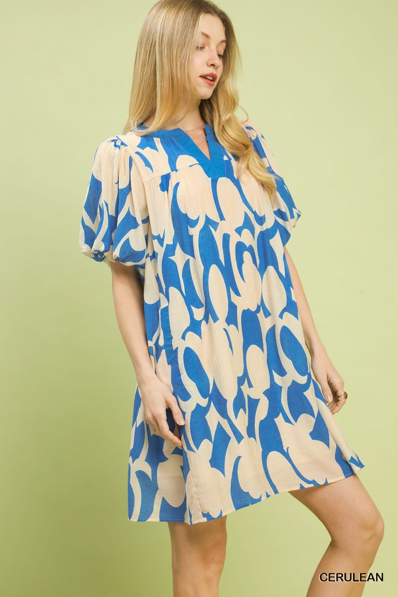 Umgee Cerulean Abstract Print Puff Sleeve Shift Dress