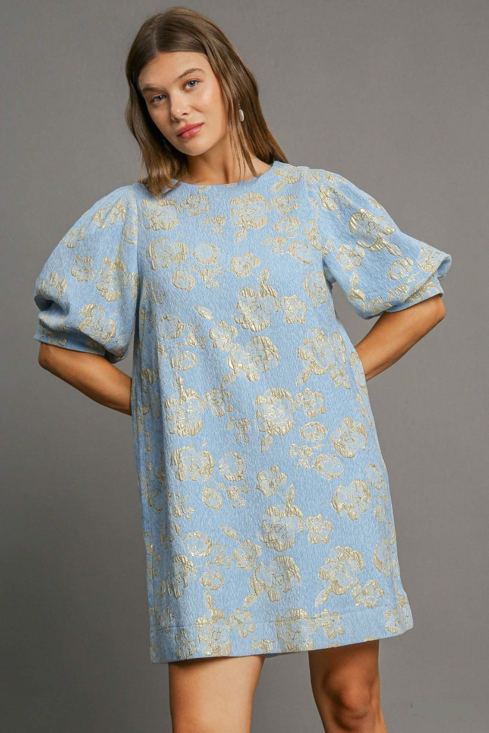 Umgee Pastel Blue Floral Jacquard Puff Sleeve Mini Dress